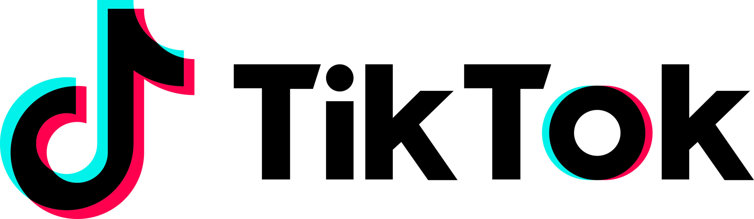 TikTok Partner